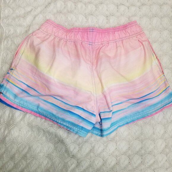 AMS Swimwear popsicle print swim shorts multi color size XG beach gym mesh liner - Picture 2 of 10